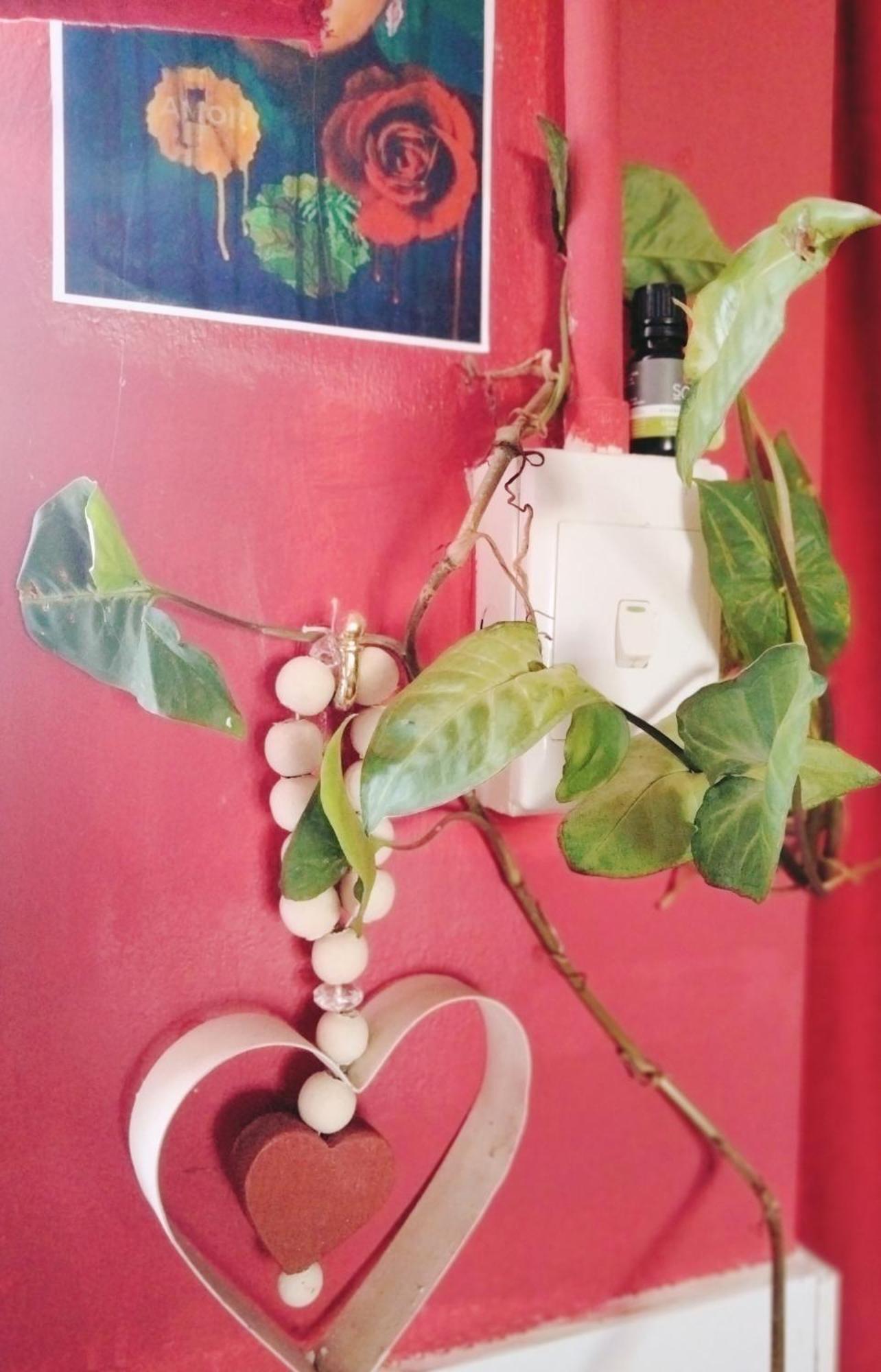 Appartement Addo'S Secret Backdoor à Port Elizabeth Extérieur photo